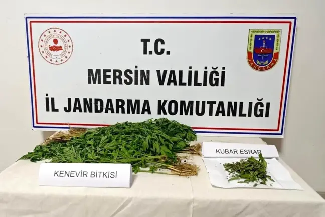 Mersin'de Uyuşturucu Operasyonu: 6 Şüpheli Yakalandı