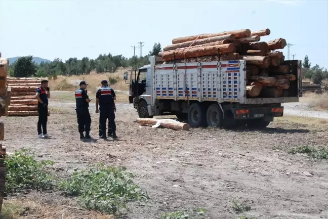 Çanakkale'de Tomruk Kazası: Kamyon Sürücüsü Hayatını Kaybetti