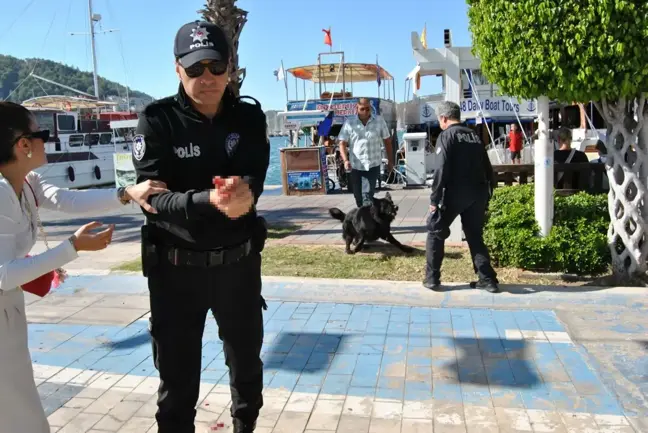 Cumhuriyet Bayramı Kutlamasında Kurt Köpeği Polisi Yaraladı