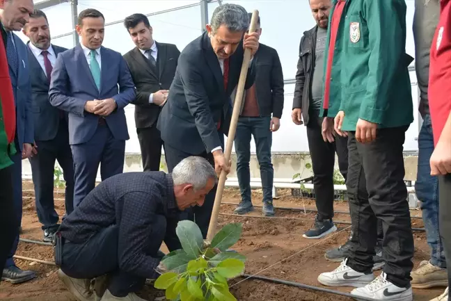 Silopi'de Tropikal Meyve Yetiştiriciliği İçin Protokol İmzalandı