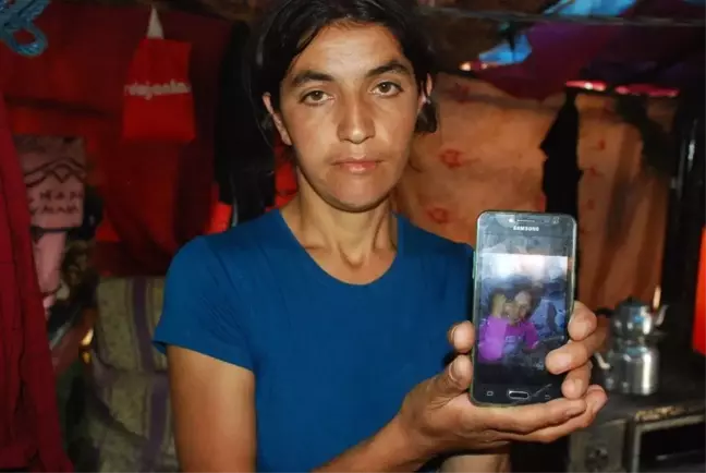 Evrim, 280 Gündür Kayıp