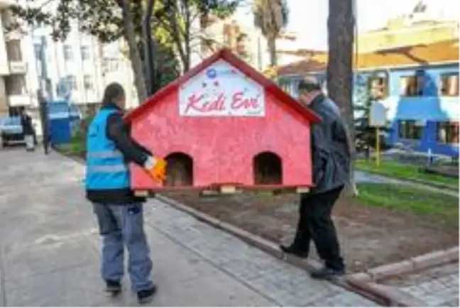 Canik'te can dostları emin ellerde