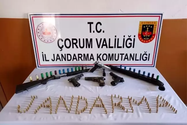 Jandarmadan ruhsatsız silah operasyonu