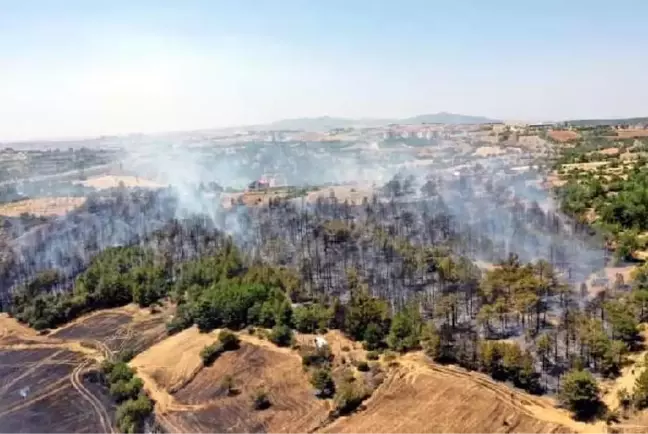 UŞAK'TA 2 NOKTADA ORMAN YANGINI; 8 HEKTAR ALAN YANDI