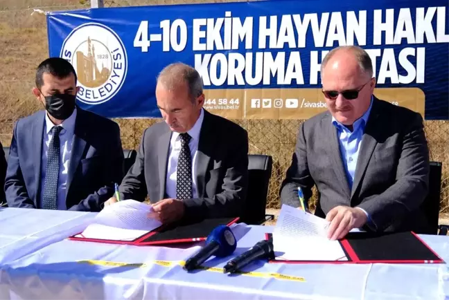Hayvan Barınağı'ndaki Hayvanların Bakımını Veteriner Fakültesi Yapacak