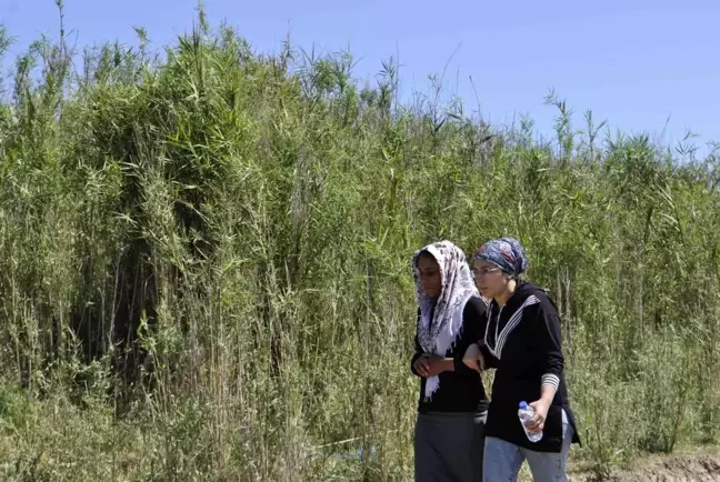 Ceyhan Nehri'nde kaybolan çocuk 3 gündür aranıyor