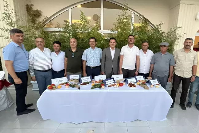 Kumluca'da Yöresel Yemekler Etkinlikle Tanıtıldı