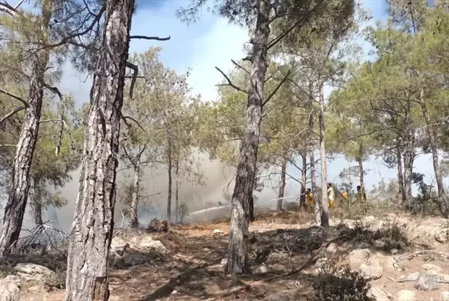 Mersin'de Ormanlık Alanda Çıkan Yangın Kontrol Altına Alındı