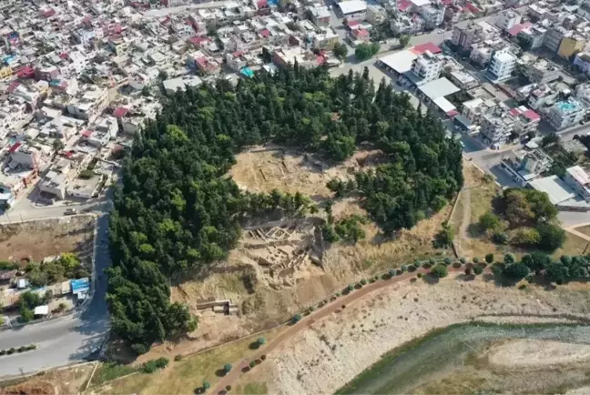 Yumuktepe Höyüğü'nde 9 bin yıllık iki buğday türü ortaya çıktı