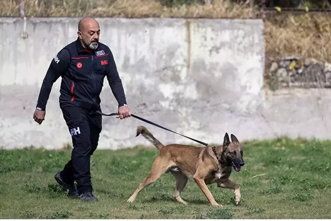 İHH Arama Kurtarma Köpeği Bozo, Sınavda Birinci Oldu