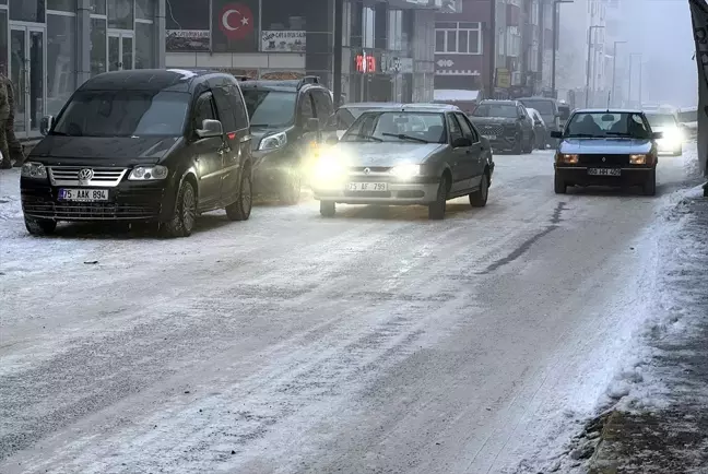 Erzurum ve çevresinde etkili dondurucu soğuklar