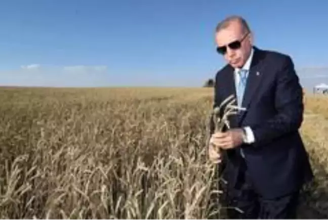 Erdoğan, AK Parti Erzurum İl Başkanı Öz'ün dile getirdiği tohum talebini çözüme kavuşturdu