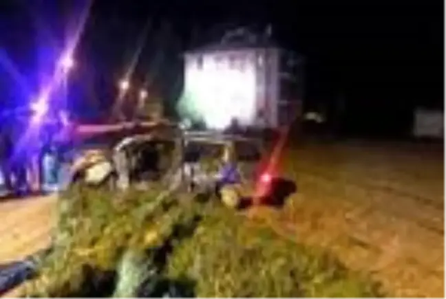 Otomobil elektrik direğine çarptı: 2 ölü, 1 yaralı