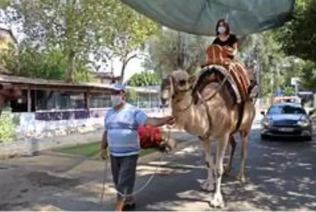 Düden Şelalesi'ndeki develer turistlerin ilgi odağı oldu! 100 metrelik tur 20 TL, fotoğraf çektirmek 10 TL