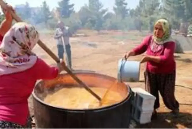 Üzümün bağlardan, damlara lezzetli yolculuğu