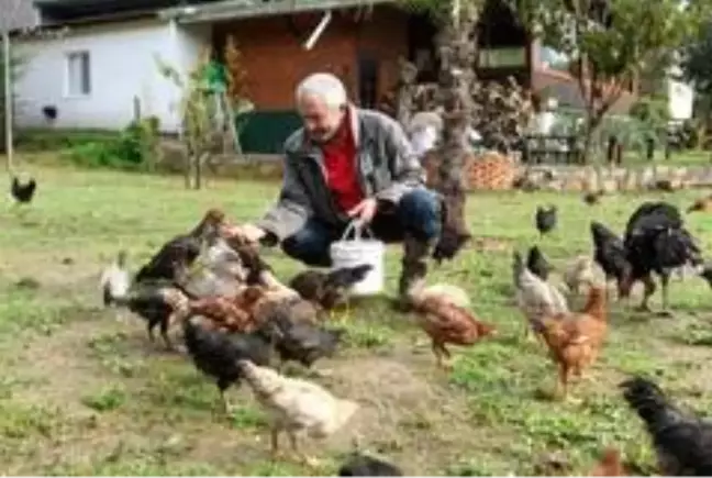 Yeşilçam'ın yakışıklı jönü, şimdi böyle yaşıyor