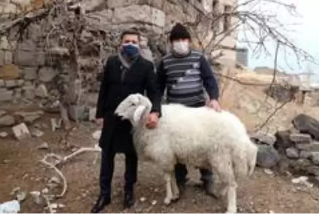 Başkandan koyunlara iade-i ziyaret