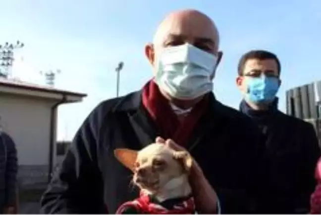 Ses telleri kesilen köpekler sahiplendiriliyor