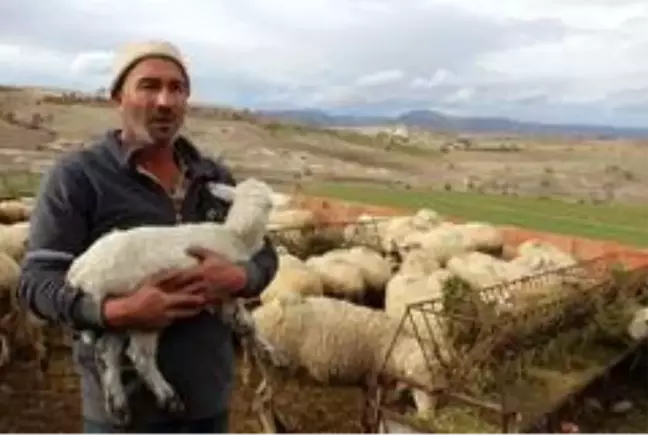 Afyonkarahisar'ın 'Mandıra Filozofu'na korona uğramıyor