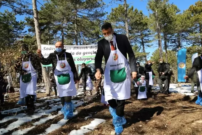 Karaçam tohumları toprakla buluştu