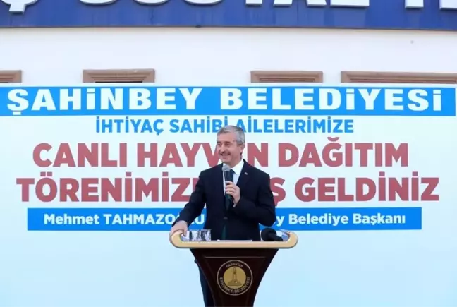 Şahinbey'de hayvan yetiştiricilerinin yüzü gülüyor