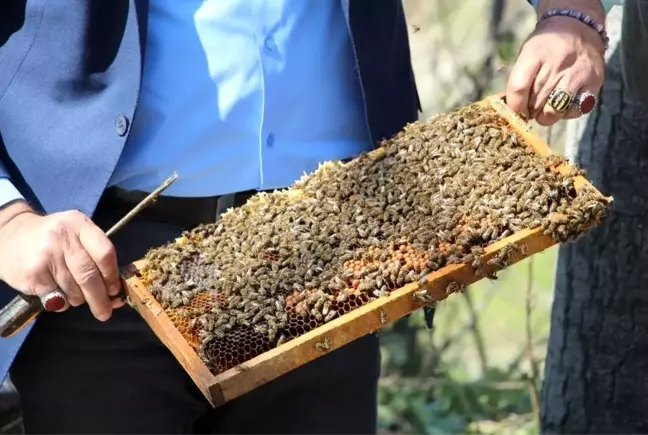 Arılar çiçekle buluştu, yetiştiriciyi ilaçlama korkusu sardı