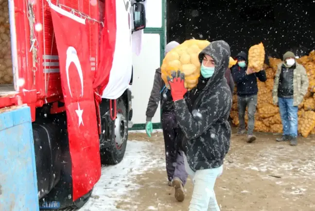 TMO, Nevşehir'de patates alımlarına başladı
