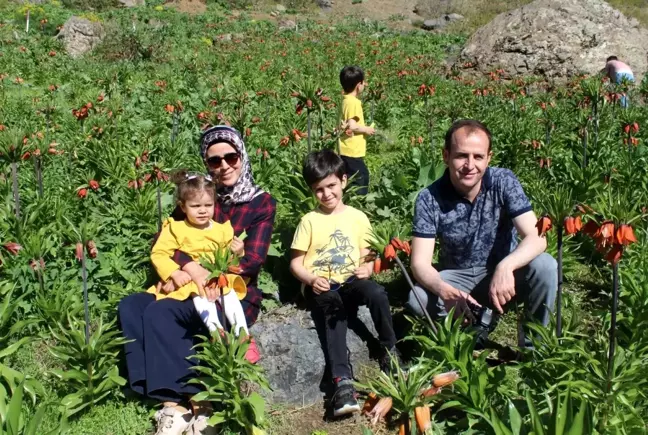 Huzur ortamıyla ters lalelere ilgi arttı