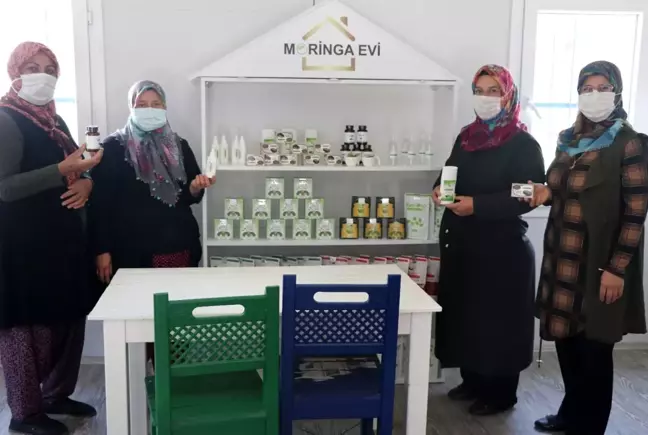 Moringa bitkisi sayesinde iş kadını oldular