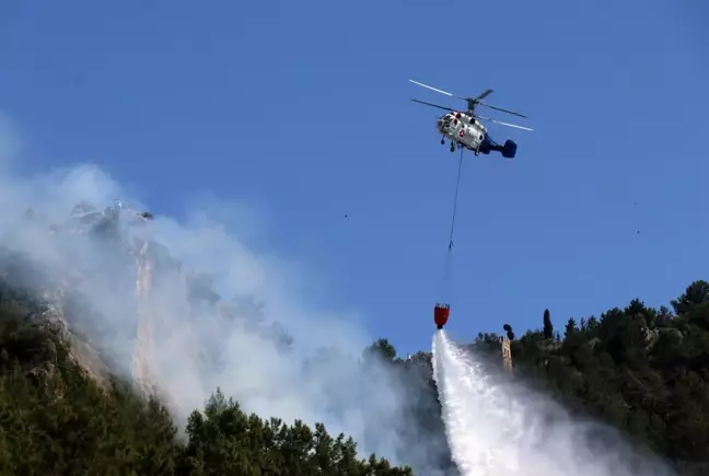 Alanya Kalesi'nin bulunduğu yarımadadaki ormanlık alanda yangın