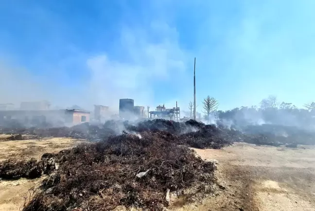 Dalaman'daki kağıt fabrikası 12 milyon ceza verilerek kapatıldı