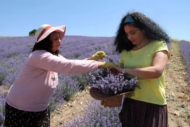 Kızının teşvikiyle emekli olduktan sonra hayalini gerçekleştirdi