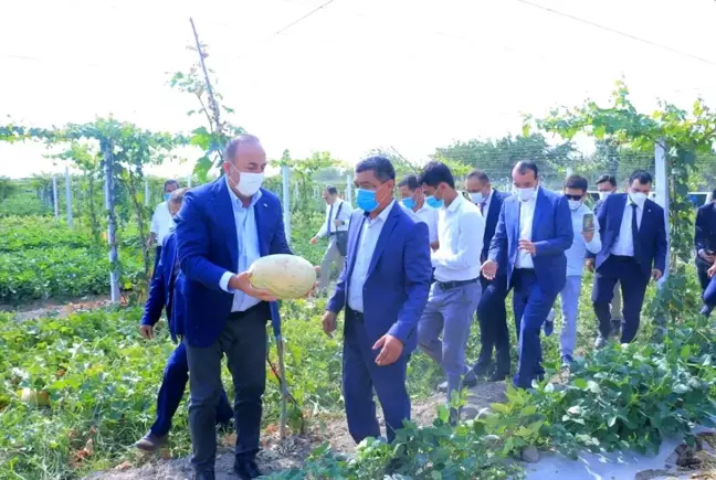 Çavuşoğlu, Özbekistan'da tarladan kavun ve karpuz topladı