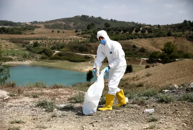 Ölüme terk edilen civcivler toplanmaya başladı