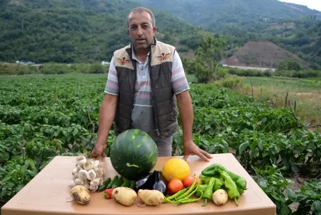 Son dakika ekonomi: Atıl durumdaki araziyi ekilebilir hale getirdi, 2 milyon lira kazanç bekliyor