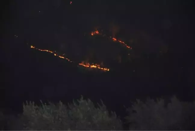 Gazipaşa ilçesinde orman yangını başladı