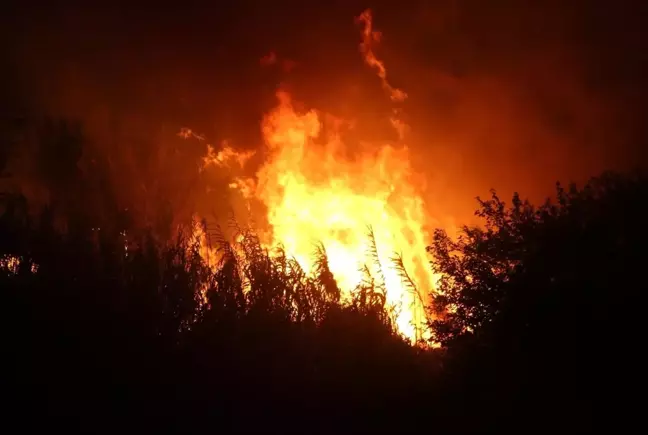 Hatay'da otluk yangını kontrol altına alındı