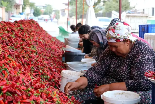 Kadınların 'en acı' mesaisi