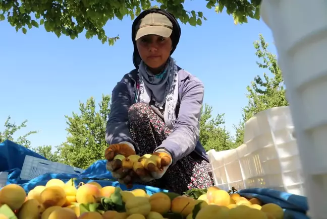 Malatyalılardan 