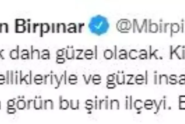 Bakan Yardımcısı Birpınar: