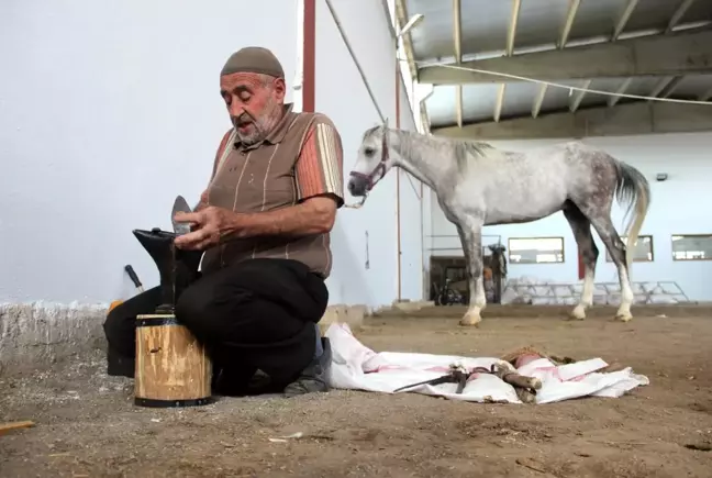 Dükkana getirilen at kalmayınca, seyyar nalbantlığa başladı