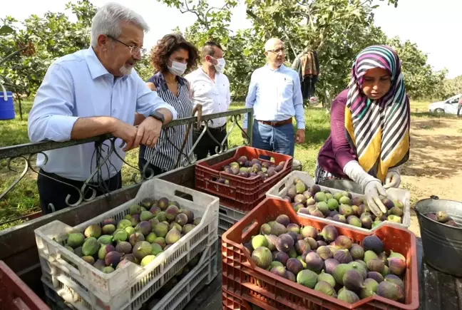 Başkan Erdem'den çağrı: 