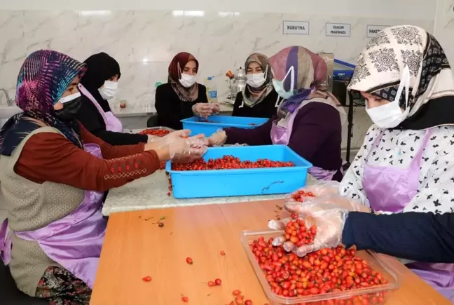 Kadınlar hem üretiyor hem de bütçelerine katkı sağlıyor