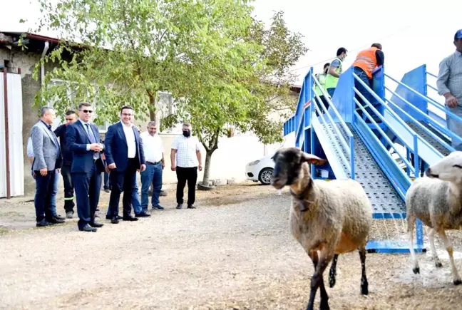 Mobil koyun banyosu çobanların ve koyunların hizmetinde