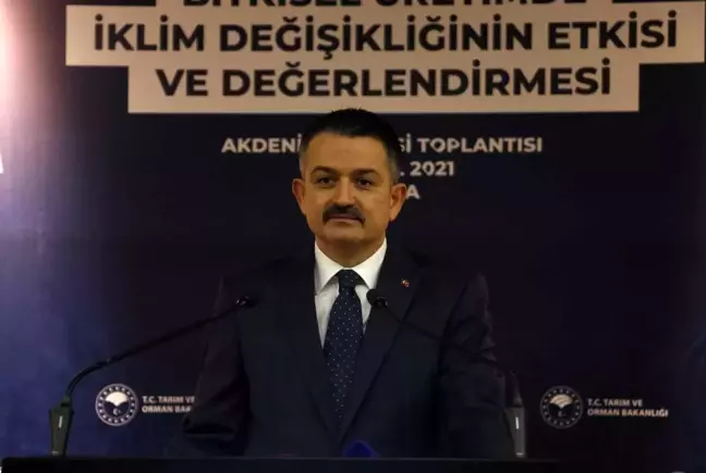 Bakan Pakdemirli: 