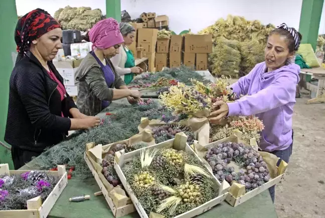 Avrupa'nın yılbaşı çelenkleri Antalyalı kadınların ellerinden çıkıyor