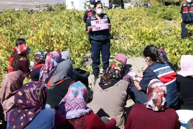 Kadın jandarmalar önce eğitim verdi sonra üzüm hasadı yaptı