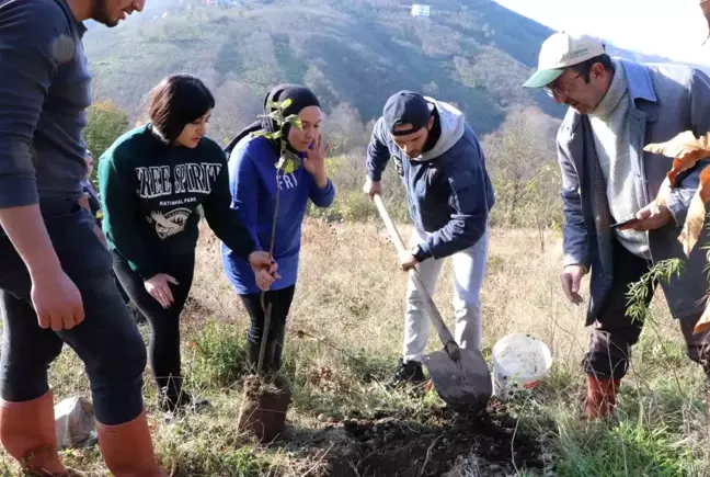 OMÜ'lü öğrenciler fındık fidanlarını toprakla buluşturdu