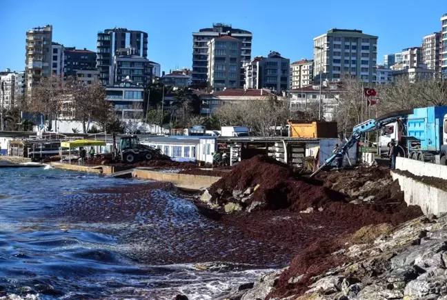 Caddebostan sahilindeki kirlilik havadan ve sualtından görüntülendi