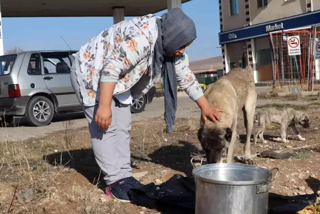 Sokak hayvanlarının bakımları için günlük 40 kilometre yol gidiyor